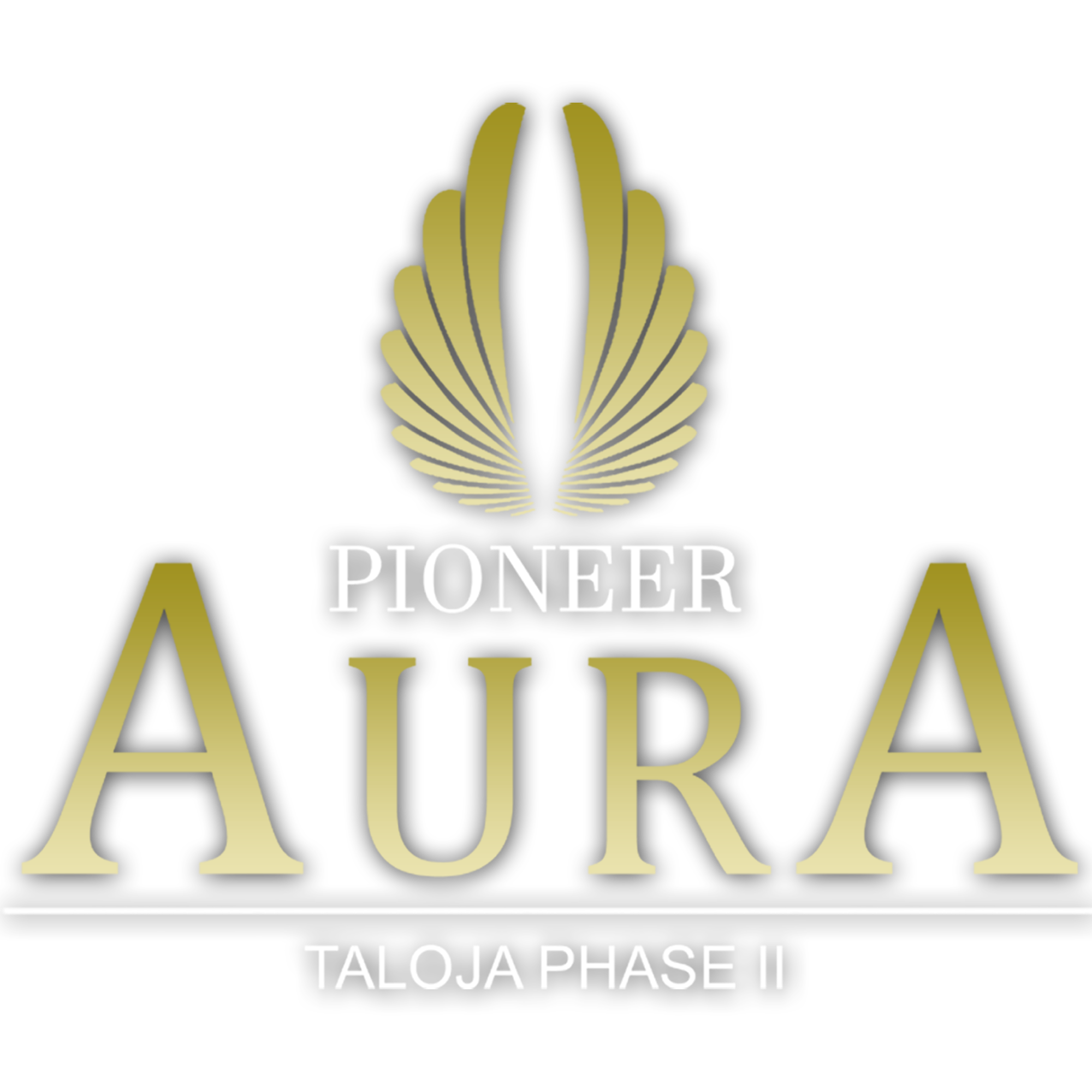 Pioneer Aura & aayush realtor