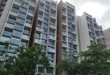 qgukz7f_1697538593_451558252_optOrig